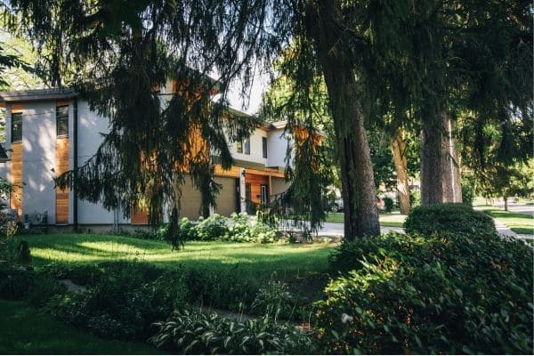 Residential Garden